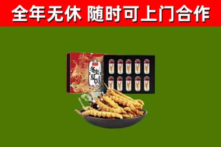舞阳烟酒回收冬虫夏草礼盒.jpg